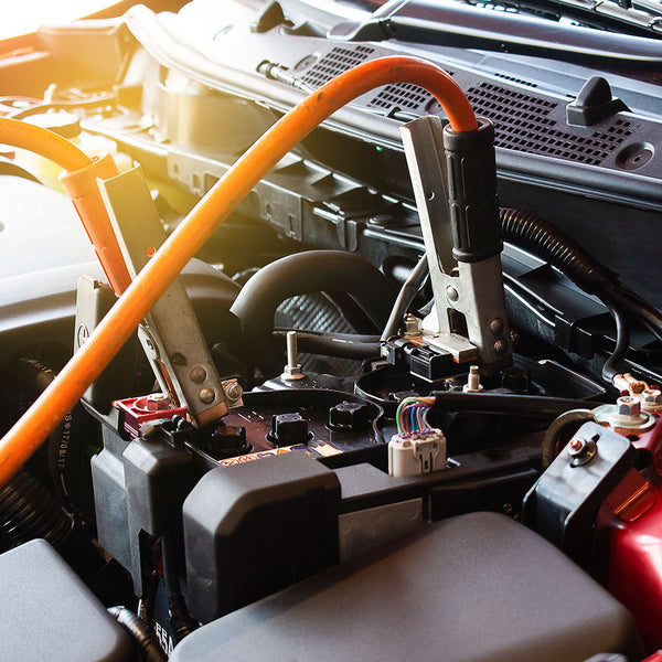 Battery Chargers & Maintainers