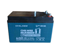 Chilwee 6-DZF-12 Electic Bike 12V 12AH Gel Battery