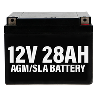 Enerwatt 12 Volt 28 AH SLA Battery