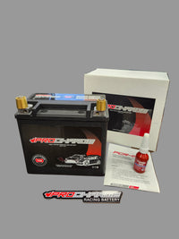 1150 PHCA High Performance Lightweight AGM Racing Battery