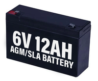 6V 12AH AGM Battery