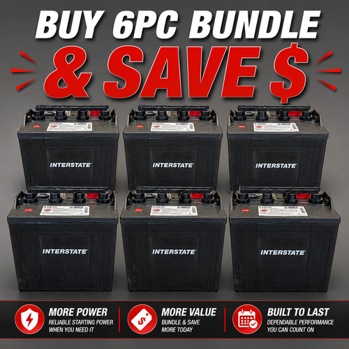 Interstate 48 Volt Golf Cart Battery Set