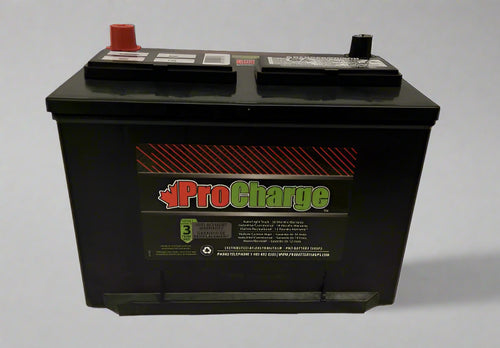 PC-636RMF : Pro Charge Gr 36R Auto / Light Truck Battery 650 CCA