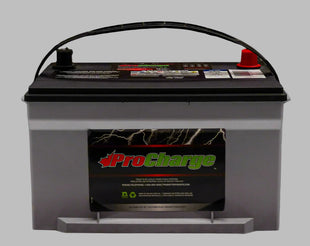 Pro Charge Gr 65 AGM Battery 750 CCA