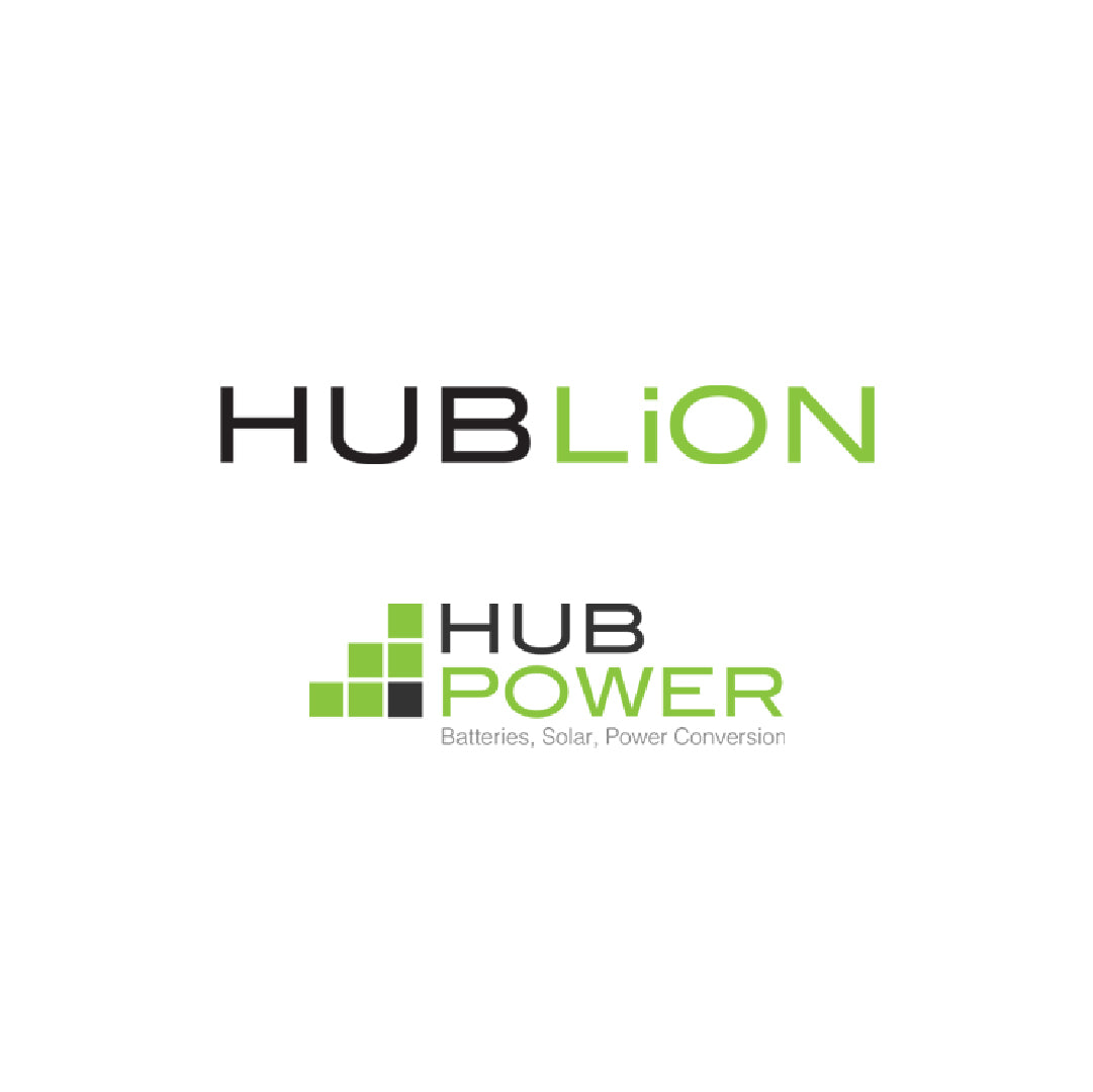 hub_lion
